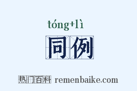 同例是什么意思的图片